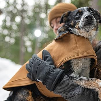 Rainbow Wags October 2025