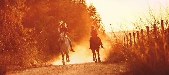 On The Right Lead November 2025