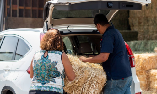 Rainbow Ag placing hay bales in their trunk
