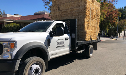 Rainbow Ag truck loaded with square hay bales