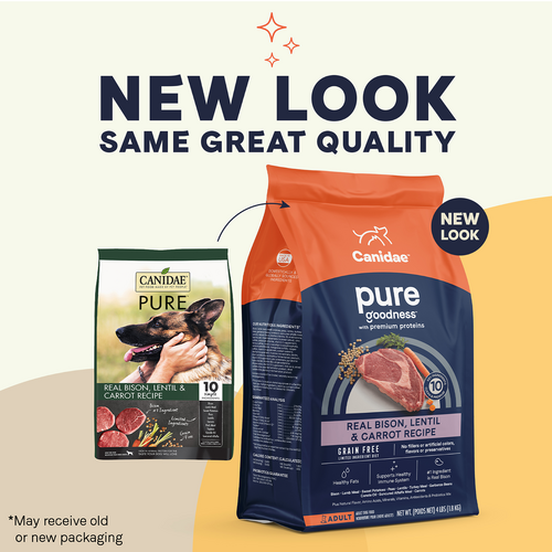 Canidae Grain Free PURE Bison, Lentil & Carrot Recipe Dry Dog Food ...