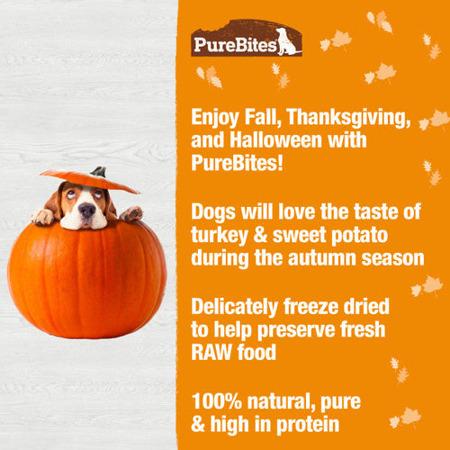 PureBites Fall Turkey & Sweet Potato  Freeze Dried Dog Treats