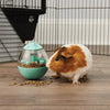 Oxbow Animal Health Enriched Life – Wobble Teaser