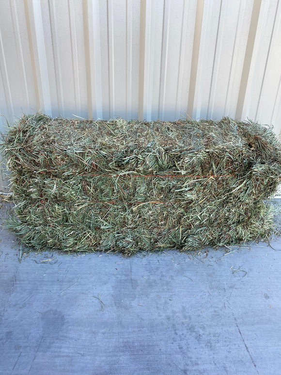 Rainbow Ag Alfalfa Grass Hay