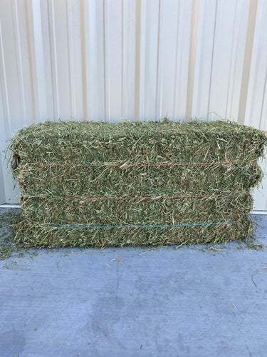 Rainbow Ag Mountain Alfalfa Hay