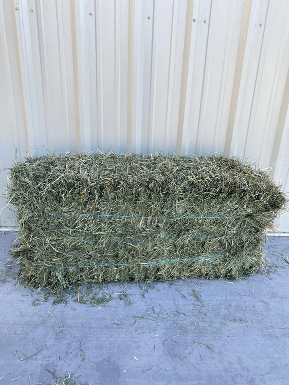Rainbow Ag Orchard Grass Hay