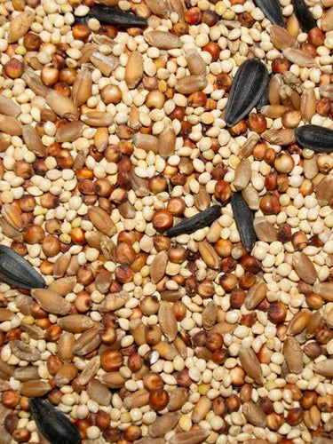 Volkman Pet Western Delight Value Mix