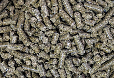 BAR Ale Esteem Complete Senior Pellet