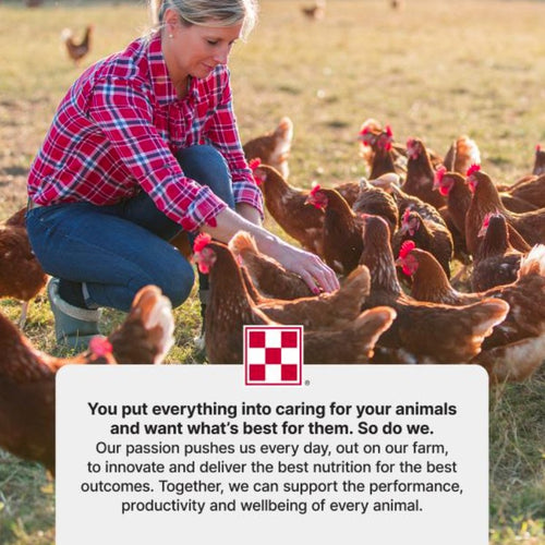 Purina® Start & Grow® Non-Medicated Chick Feed