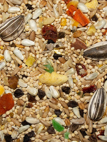 Volkman Avian Science Super Cockatiel With Sunflower