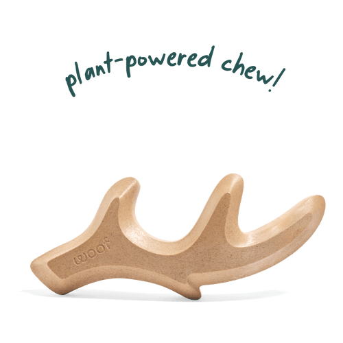 Woof HonestChew Antler Dog Treats