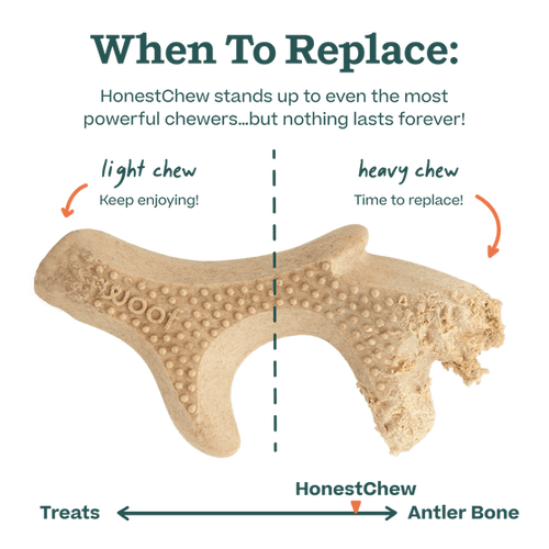 Woof HonestChew Antler Dog Treats