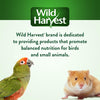 Wild Harvest Treat Stick with Tough Core for Small and Medium Birds Treats