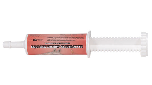First Companion Equi-Dex™ Cherry Electrolyte Paste