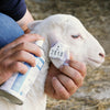 Elanco Catron IV Spray 10oz