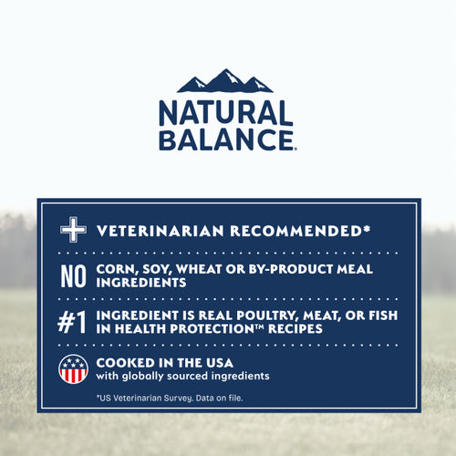 Natural Balance Large Breed Salmon, Brown Rice & Pumpkin Recipe