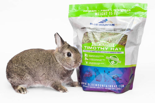 Blue Mountain Hay 2nd Cutting Timothy Hay for Small Pets