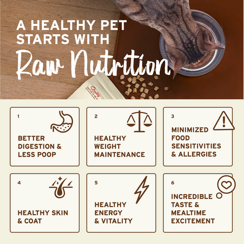 Primal Pet Foods Feline Kibble in the Raw Cat Food Chicken & Fish Recipe