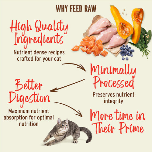 Primal Pet Foods Feline Kibble in the Raw Cat Food Chicken & Fish Recipe