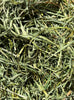 Round Lake Farm Orchard Grass Hay
