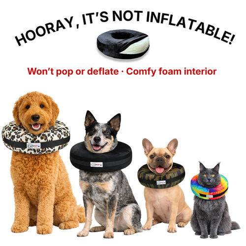 Comfurt Collar Pet Recovery Collar Black
