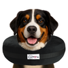 Comfurt Collar Pet Recovery Collar Black